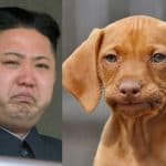 Kim Jong Un pensando en comprar un piso de lujo