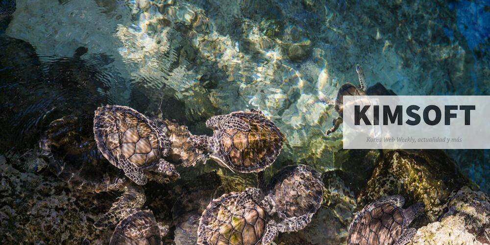 animales fascinantes de nuestro planeta