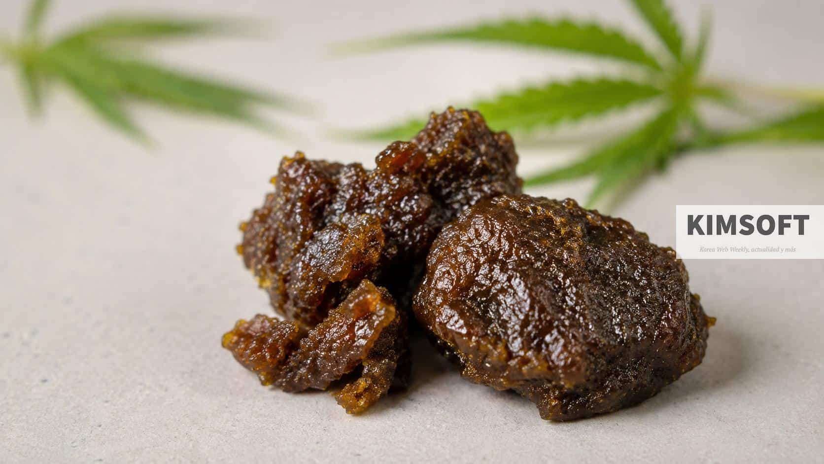 Hash CBD: qué es y en qué se diferencia de otras resinas de cáñamo