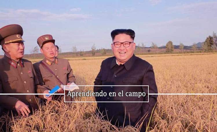 aprendiendo-en-el-campo