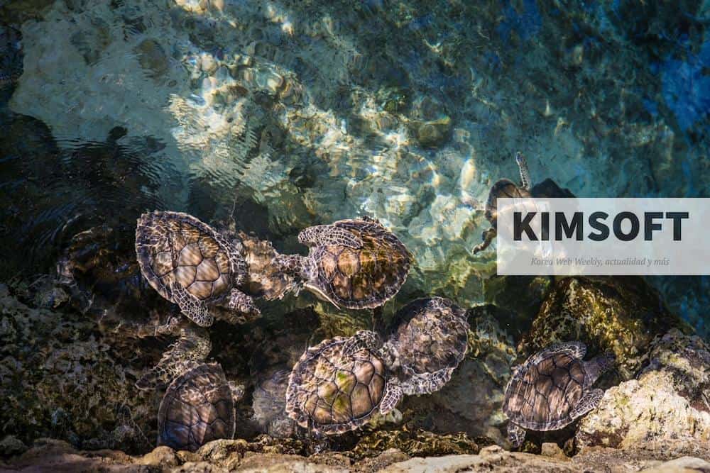 animales fascinantes de nuestro planeta
