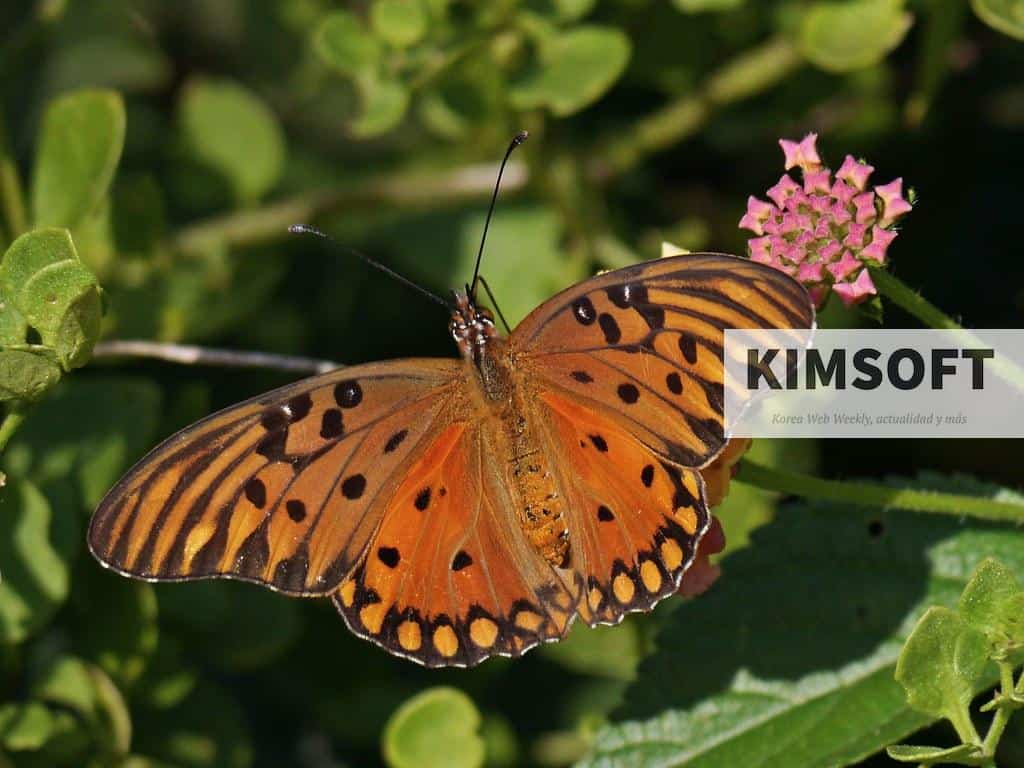 animales más fascinantes