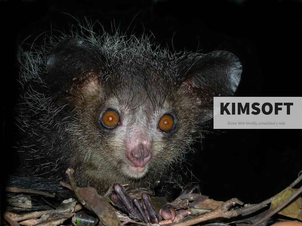 animales fascinantes de nuestro planeta